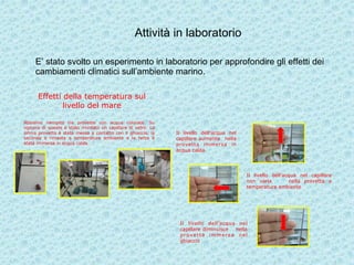 Attività in laboratorio
E’ stato svolto un esperimento in laboratorio per approfondire gli effetti dei
cambiamenti climatici sull’ambiente marino.
Il livello dell’acqua nel
capillare aumenta nella
provetta immersa in
acqua calda
Il livello dell’acqua nel capillare
non varia nella provetta a
temperatura ambiente
Il livello dell’acqua nel
capillare diminuisce nella
provetta immersa nel
ghiaccio
Effetti della temperatura sul
livello del mare
Abbiamo riempito tre provette con acqua colorata. Su
ognuna di queste è stato montato un capillare di vetro. La
prima provetta è stata messa a contatto con il ghiaccio, la
seconda è rimasta a temperatura ambiente e la terza è
stata immersa in acqua calda.
 