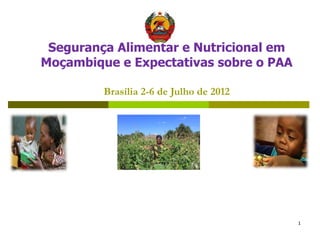Segurança Alimentar e Nutricional em
Moçambique e Expectativas sobre o PAA

         Brasília 2-6 de Julho de 2012




                                         1
 