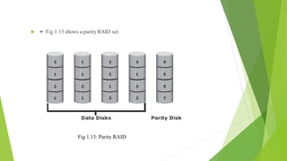 Fig 1.13: Parity RAID
 