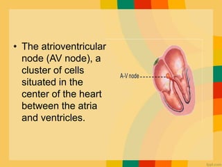 SINOATRIAL NODE | PPTX
