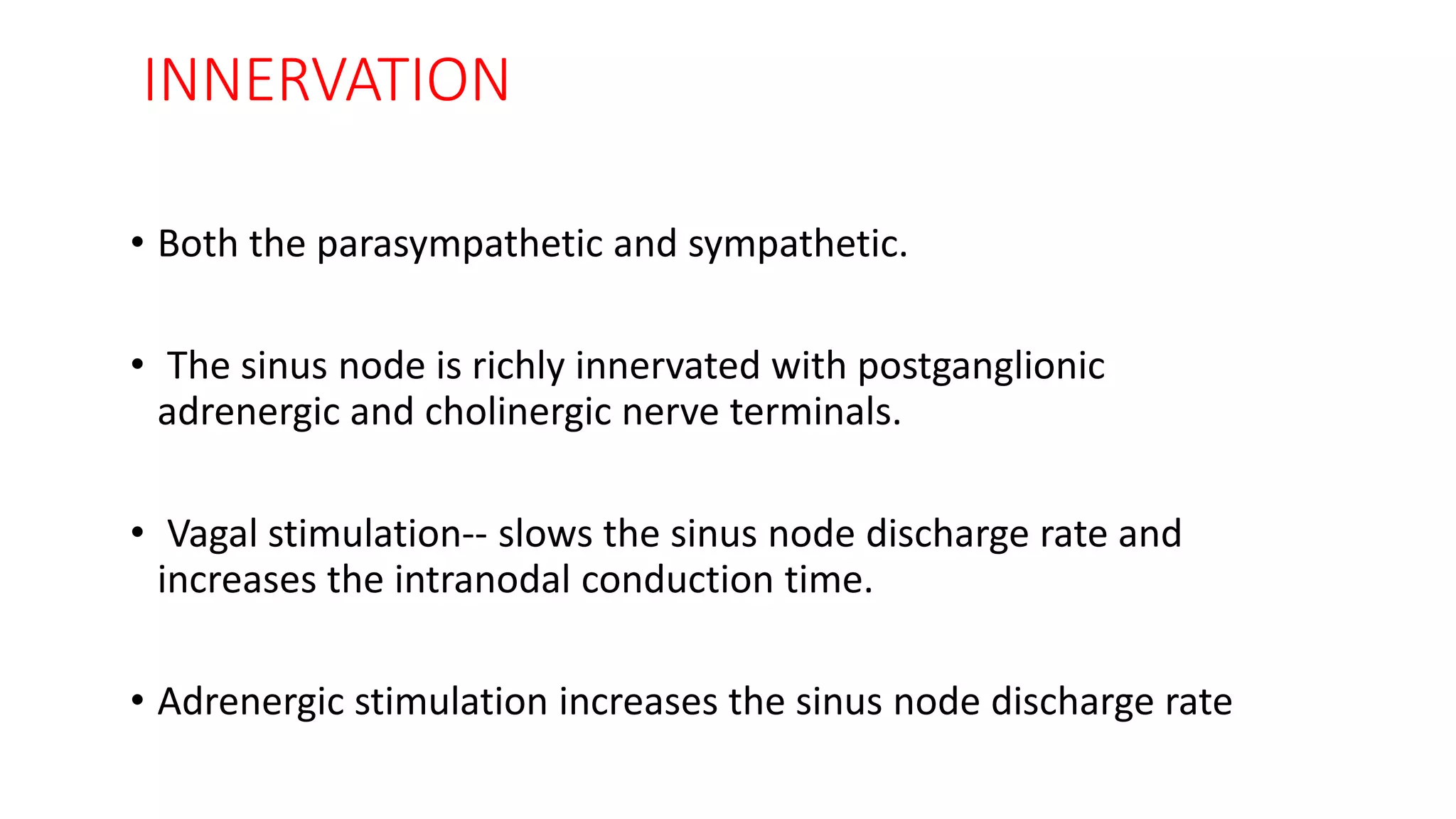 INNERVATION
• Both the parasympathetic and sympathetic.
• The sinus node is richly innervated with postganglionic
adrenergic and cholinergic nerve terminals.
• Vagal stimulation-- slows the sinus node discharge rate and
increases the intranodal conduction time.
• Adrenergic stimulation increases the sinus node discharge rate
 