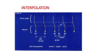 INTERPOLATION
 