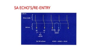 SA ECHO’S/RE-ENTRY
 
