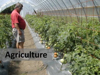 Agriculture