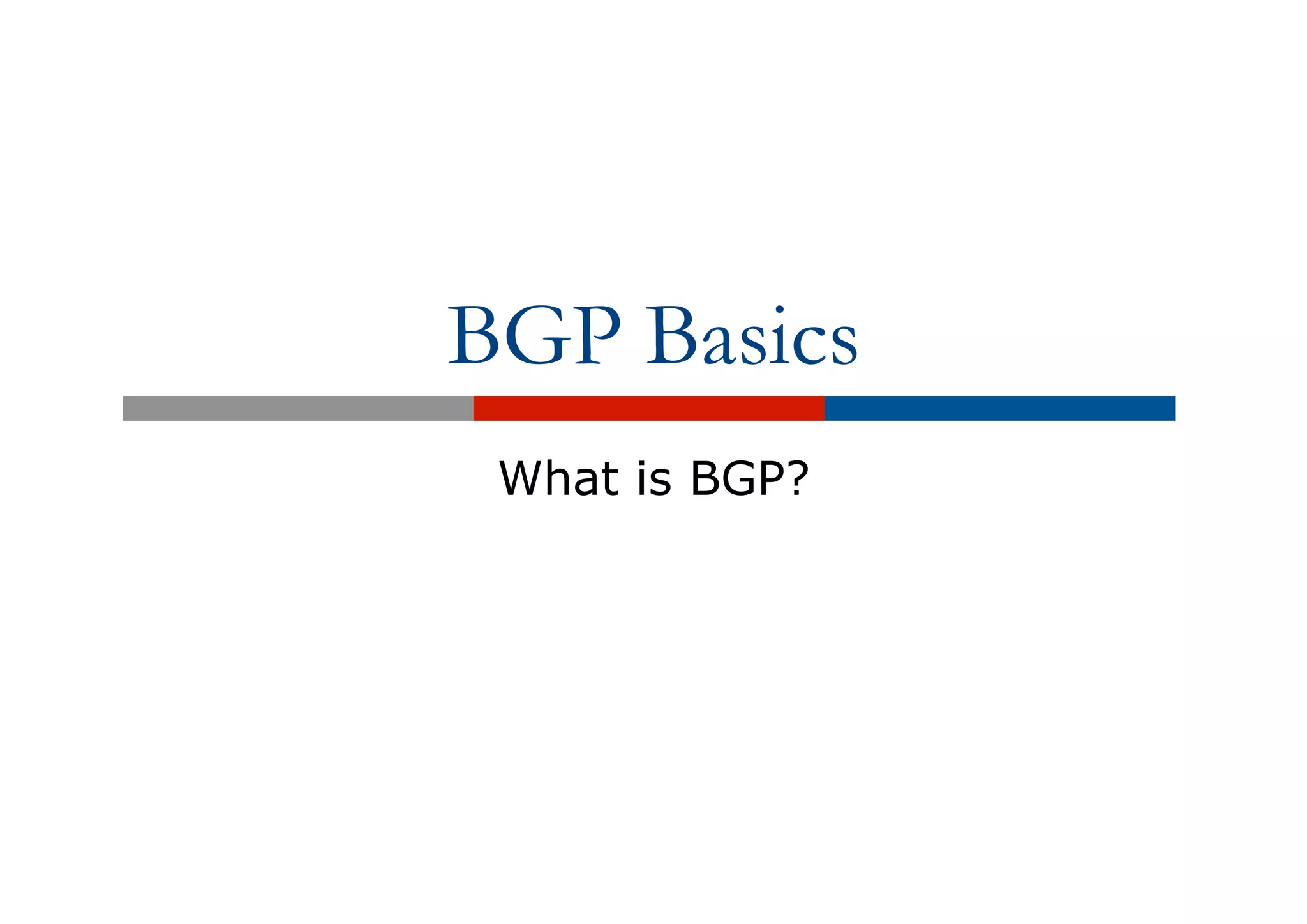 BGP Basics
What is BGP?
 