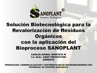 Solución Biotecnológica para la
Revalorización de Residuos
Orgánicos
con la aplicación del
Bioproceso SANOPLANT
PRODUCCION. COMERCIALIZACION Y DISTRIBUCCION DE MICROORGANISMOS CON
POTENCIAL DE CONTROL BIOLOGICO
CARLOS ANIBAL MONTOYA M
I.A. M.Sc. CROP PROTECTION
GERENTE
 