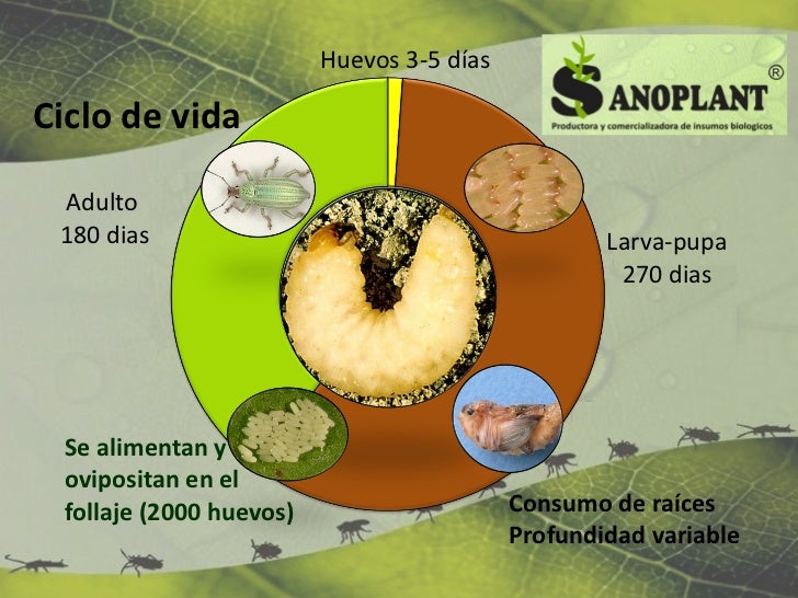 Imagen relacionada