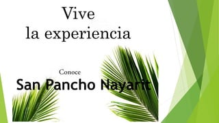 Conoce
Vive
la experiencia
San Pancho Nayarit
 