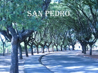 San Pedro 