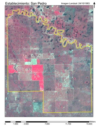 l 
Meters 
Establecimiento: San Pedro Imagen Landsat: 24/10/1983 
0 3.900 1.950 7.800 11.700 15.600 
