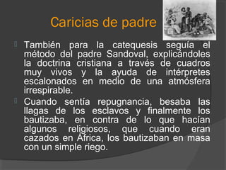 Caricias de padre
 También para la catequesis seguía el
método del padre Sandoval, explicándoles
la doctrina cristiana a través de cuadros
muy vivos y la ayuda de intérpretes
escalonados en medio de una atmósfera
irrespirable.
 Cuando sentía repugnancia, besaba las
llagas de los esclavos y finalmente los
bautizaba, en contra de lo que hacían
algunos religiosos, que cuando eran
cazados en África, los bautizaban en masa
con un simple riego.
 