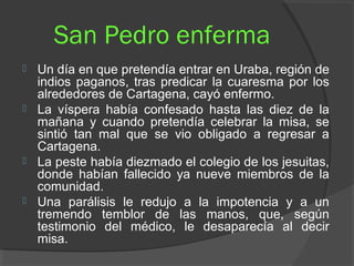 San Pedro enferma
 Un día en que pretendía entrar en Uraba, región de
indios paganos, tras predicar la cuaresma por los
alrededores de Cartagena, cayó enfermo.
 La víspera había confesado hasta las diez de la
mañana y cuando pretendía celebrar la misa, se
sintió tan mal que se vio obligado a regresar a
Cartagena.
 La peste había diezmado el colegio de los jesuitas,
donde habían fallecido ya nueve miembros de la
comunidad.
 Una parálisis le redujo a la impotencia y a un
tremendo temblor de las manos, que, según
testimonio del médico, le desaparecía al decir
misa.
 