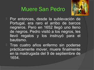 Muere San Pedro
 Por entonces, desde la sublevación de
Portugal, era raro el arribo de barcos
negreros. Pero en 1652 llegó uno lleno
de negros. Pedro visitó a los negros, les
llevó regalos y los instruyó para el
bautismo.
 Tras cuatro años enfermo sin poderse
prácticamente mover, muere finalmente
en la madrugada del 9 de septiembre de
1654.
 