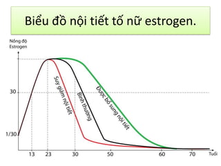 Biểu đồ nội tiết tố nữ estrogen.

 