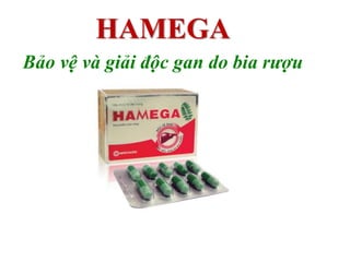 HAMEGA
Bảo vệ và giải độc gan do bia rượu

 