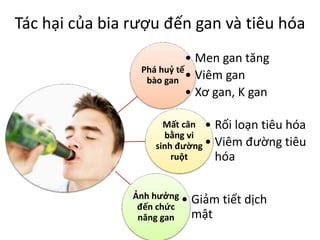 Tác hại của bia rượu đến gan và tiêu hóa
• Men gan tăng
Phá huỷ tế
bào gan • Viêm gan
• Xơ gan, K gan
Mất cân •
bằng vi
sinh đường •
ruột

Ảnh hưởng •
đến chức
năng gan

Rối loạn tiêu hóa
Viêm đường tiêu
hóa

Giảm tiết dịch
mật

 
