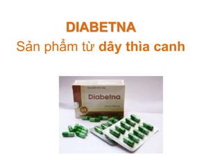 DIABETNA
Sản phẩm từ dây thìa canh

 