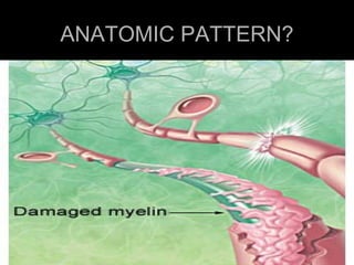 ANATOMIC PATTERN? 