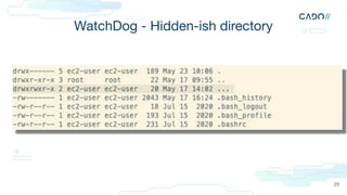 WatchDog - Hidden-ish directory
29
 