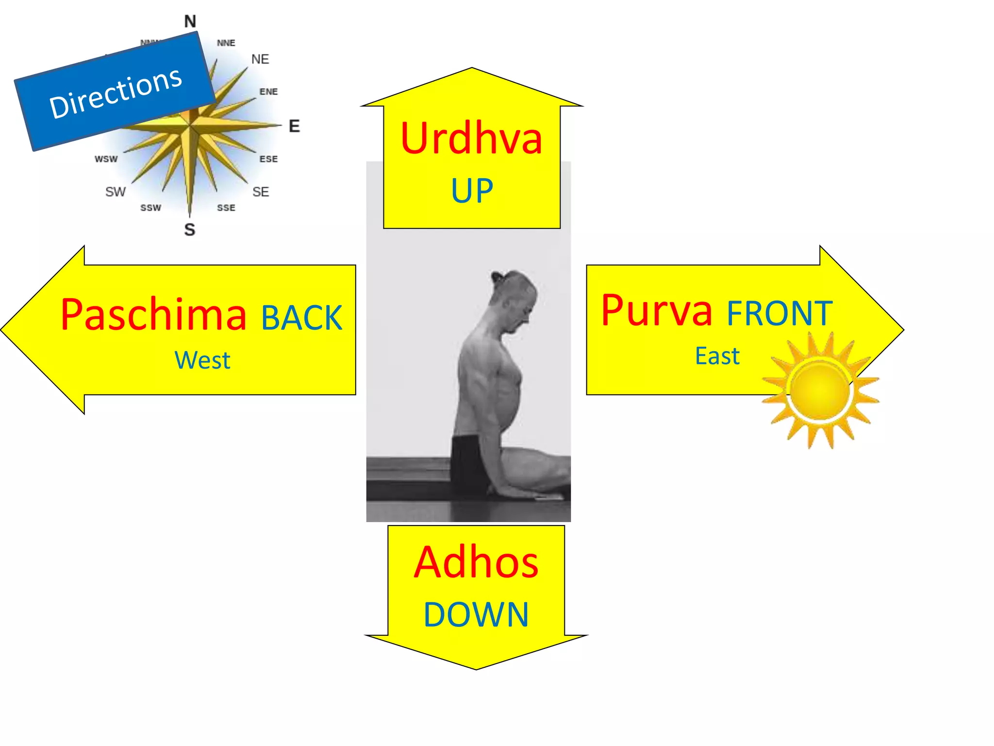 Sanskrit Ashtanga Asana Names (Primary Series) | PPTX
