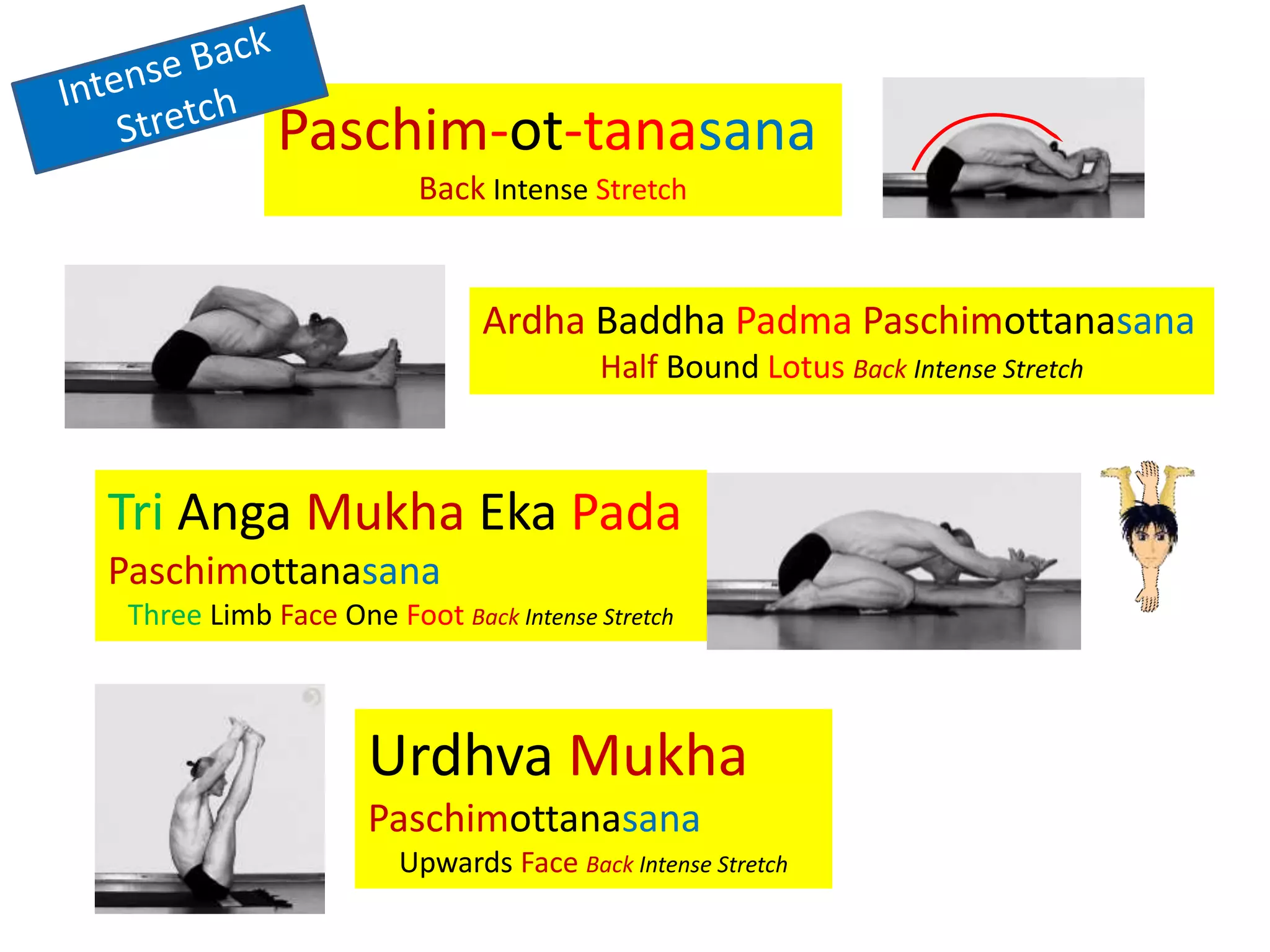Sanskrit Ashtanga Asana Names (Primary Series) | PPTX