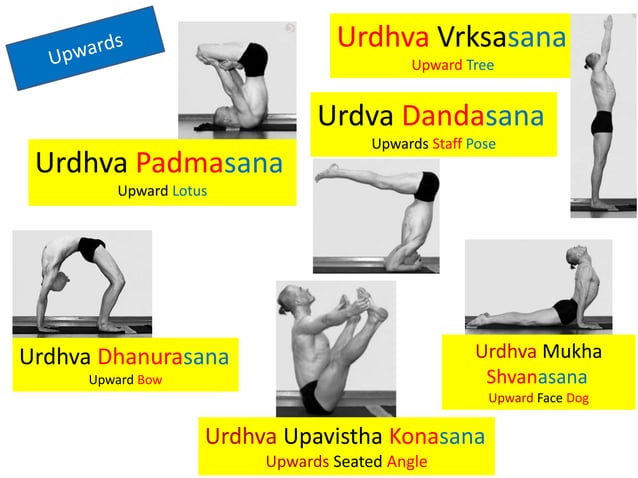 Sanskrit Ashtanga Asana Names (Primary Series) | PPTX