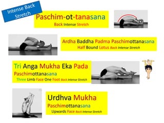 Sanskrit Ashtanga Asana Names (Primary Series) | PPTX
