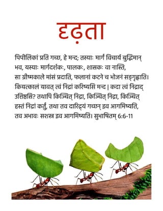Sanskrit Motivational Diligence Tract.pdf