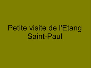 Petite visite de l'Etang
Saint-Paul

 