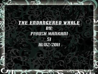 The Endangered Whale By: Piyush Mankani S1 16/02/2011 