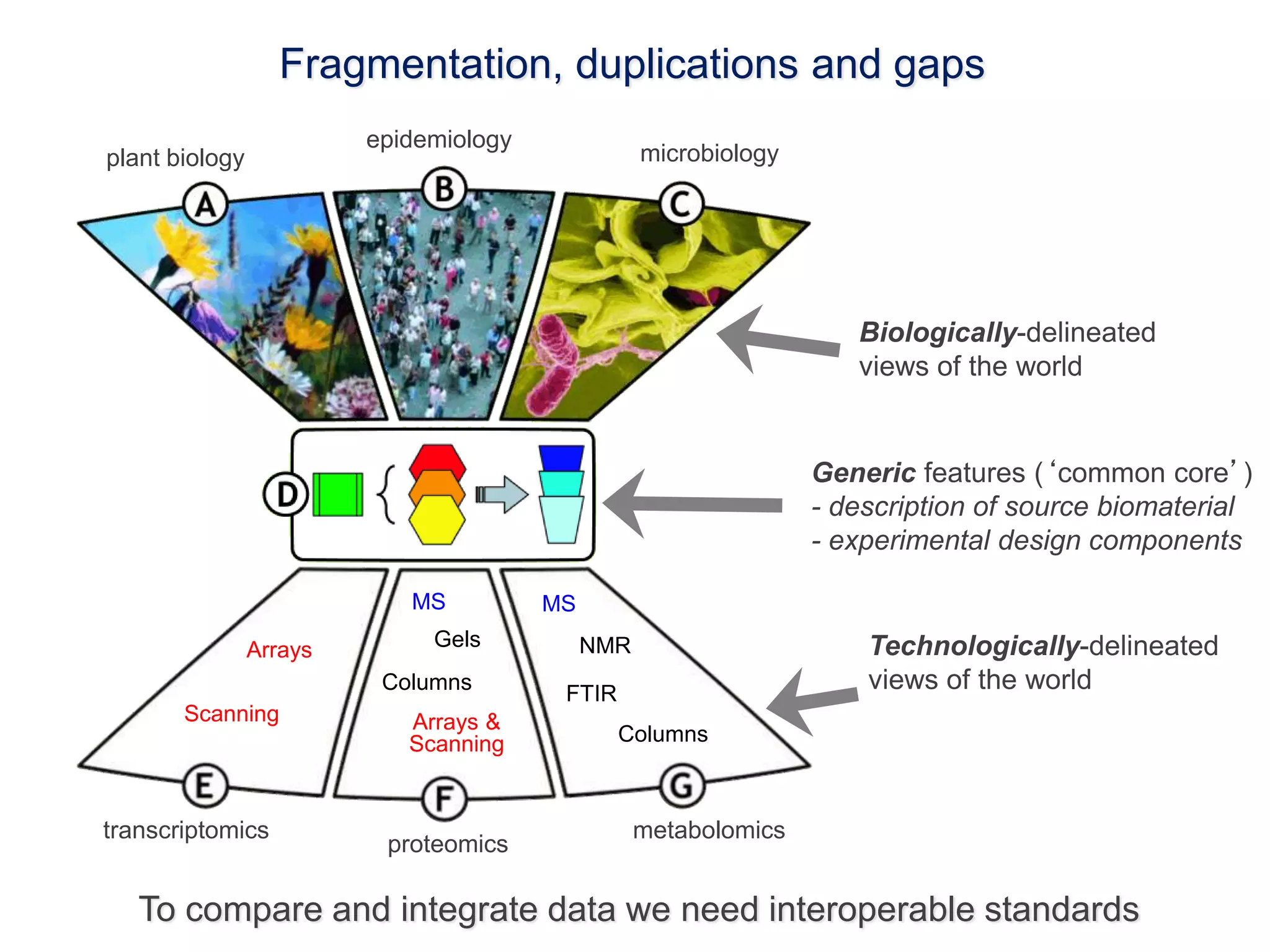 Fragmentation, duplications and gaps 
Technologically-delineated 
views of the world 
12 
Biologically-delineated 
views of the world 
Generic features (‘common core’) 
- description of source biomaterial 
- experimental design components 
Arrays 
MS MS 
Gels 
Columns 
Scanning Arrays & 
Scanning 
NMR 
FTIR 
Columns 
transcriptomics 
proteomics 
metabolomics 
plant biology 
epidemiology 
microbiology 
To compare and integrate data we need interoperable standards 
 