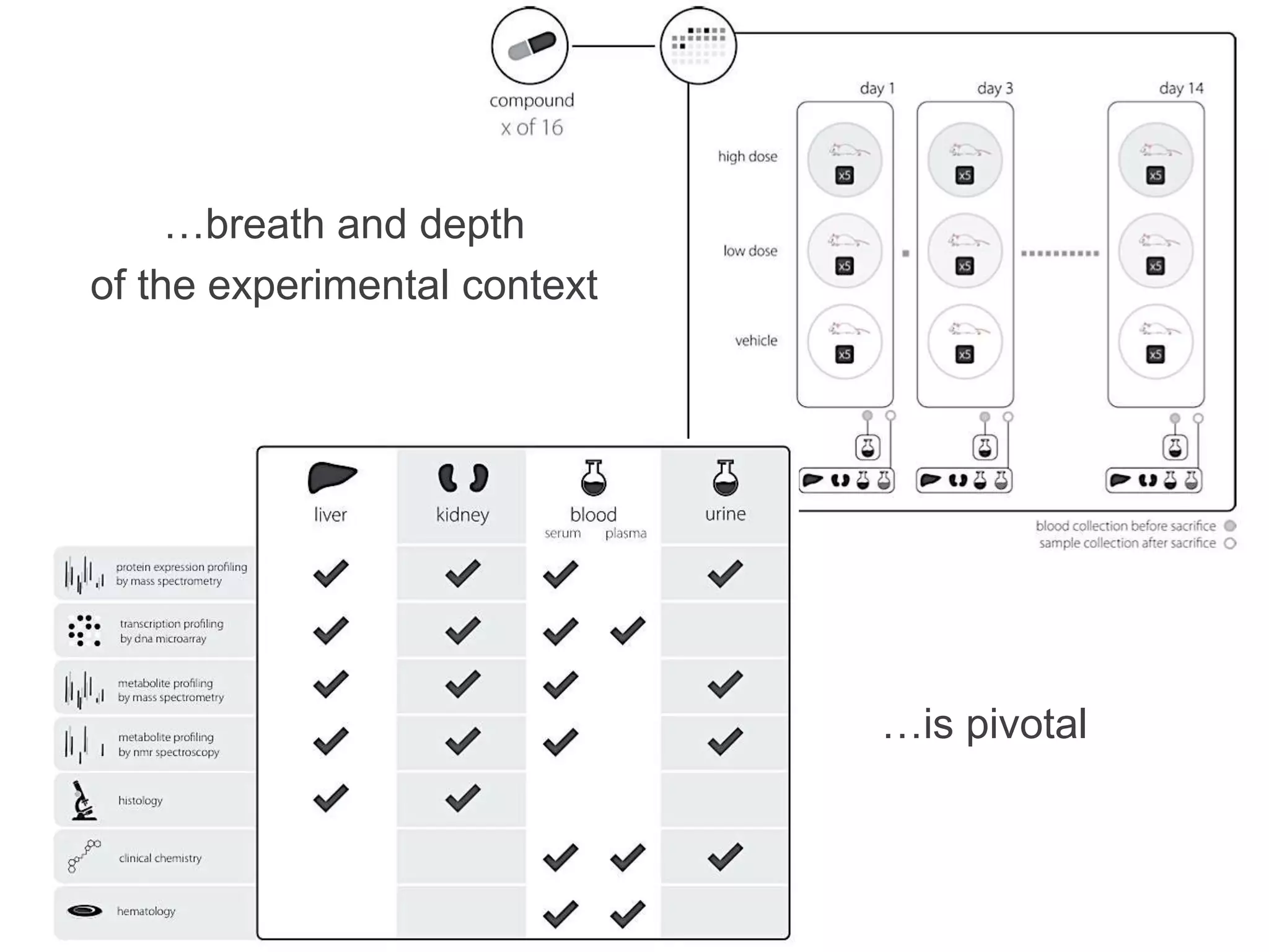 The International Conference on Systems Biology (ICSB), 22-28 August, 2008 Susanna-Assunta 
Sansone www.ebi.ac.uk/net-project 
7 
…breath and depth 
of the experimental context 
…is pivotal 
 