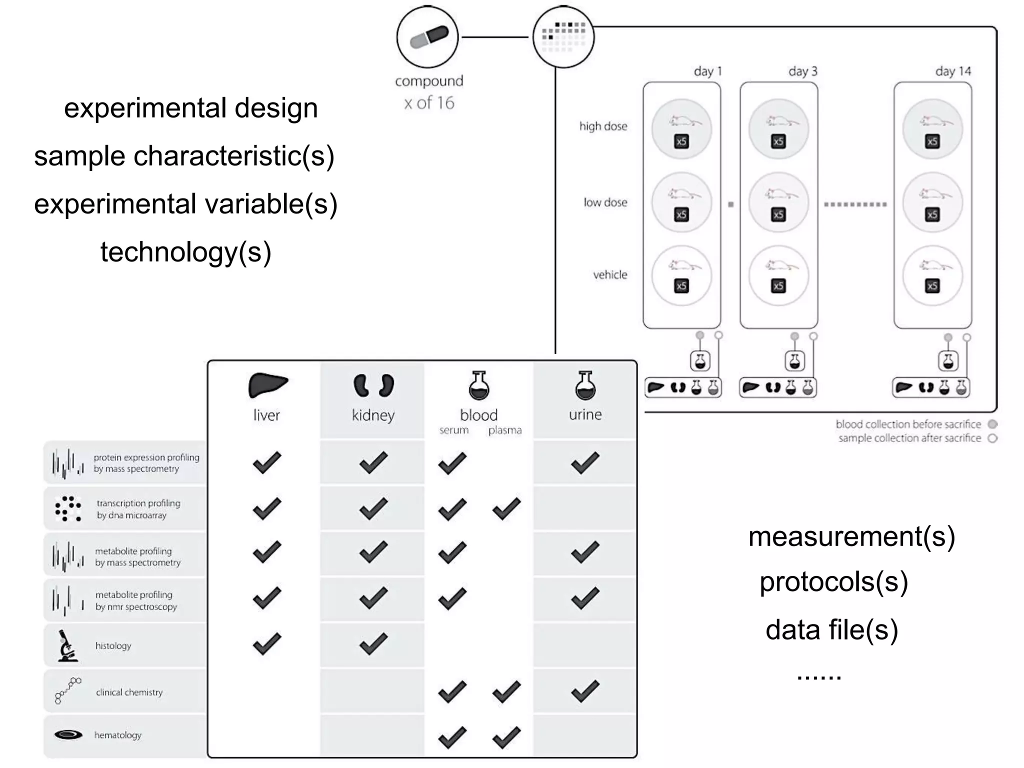 sample characteristic(s) 
The International Conference on Systems Biology (ICSB), 22-28 August, 2008 Susanna-Assunta 
Sansone www.ebi.ac.uk/net-project 
8 
experimental design 
experimental variable(s) 
technology(s) 
measurement(s) 
protocols(s) 
data file(s) 
...... 
 