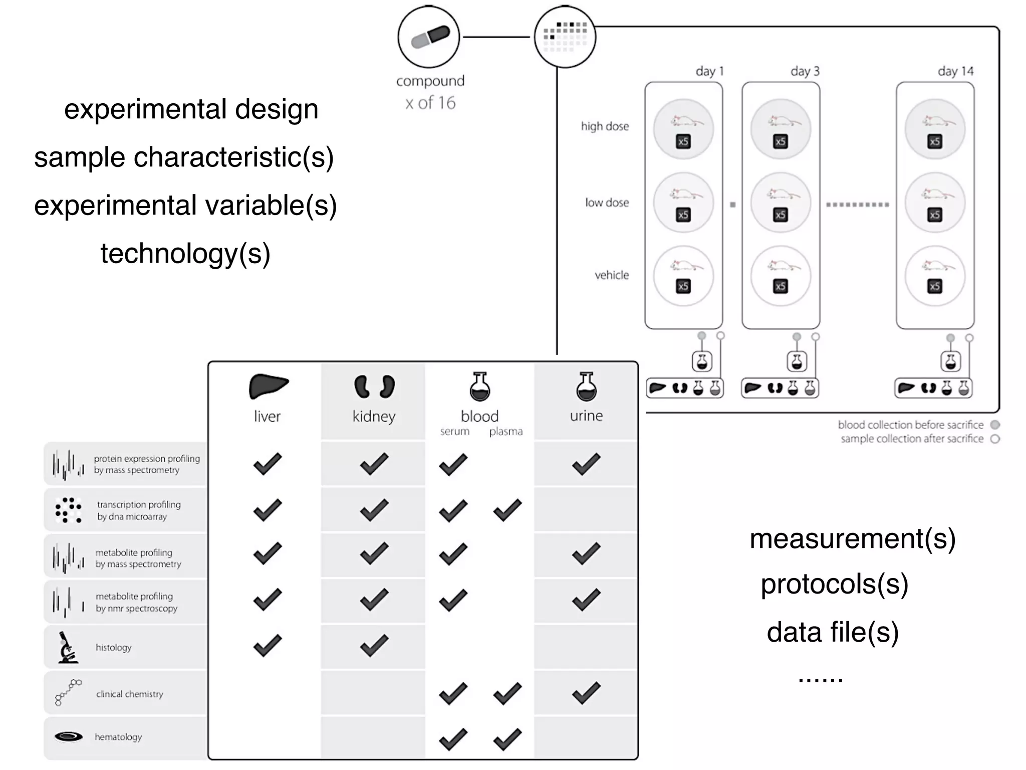 sample characteristic(s)! 
The International Conference on Systems Biology (ICSB), 22-28 August, 2008 Susanna-Assunta 
Sansone www.ebi.ac.uk/net-project 
1 
0 
experimental design! 
experimental variable(s)! 
technology(s)! 
measurement(s)! 
protocols(s)! 
data file(s)! 
......! 
 