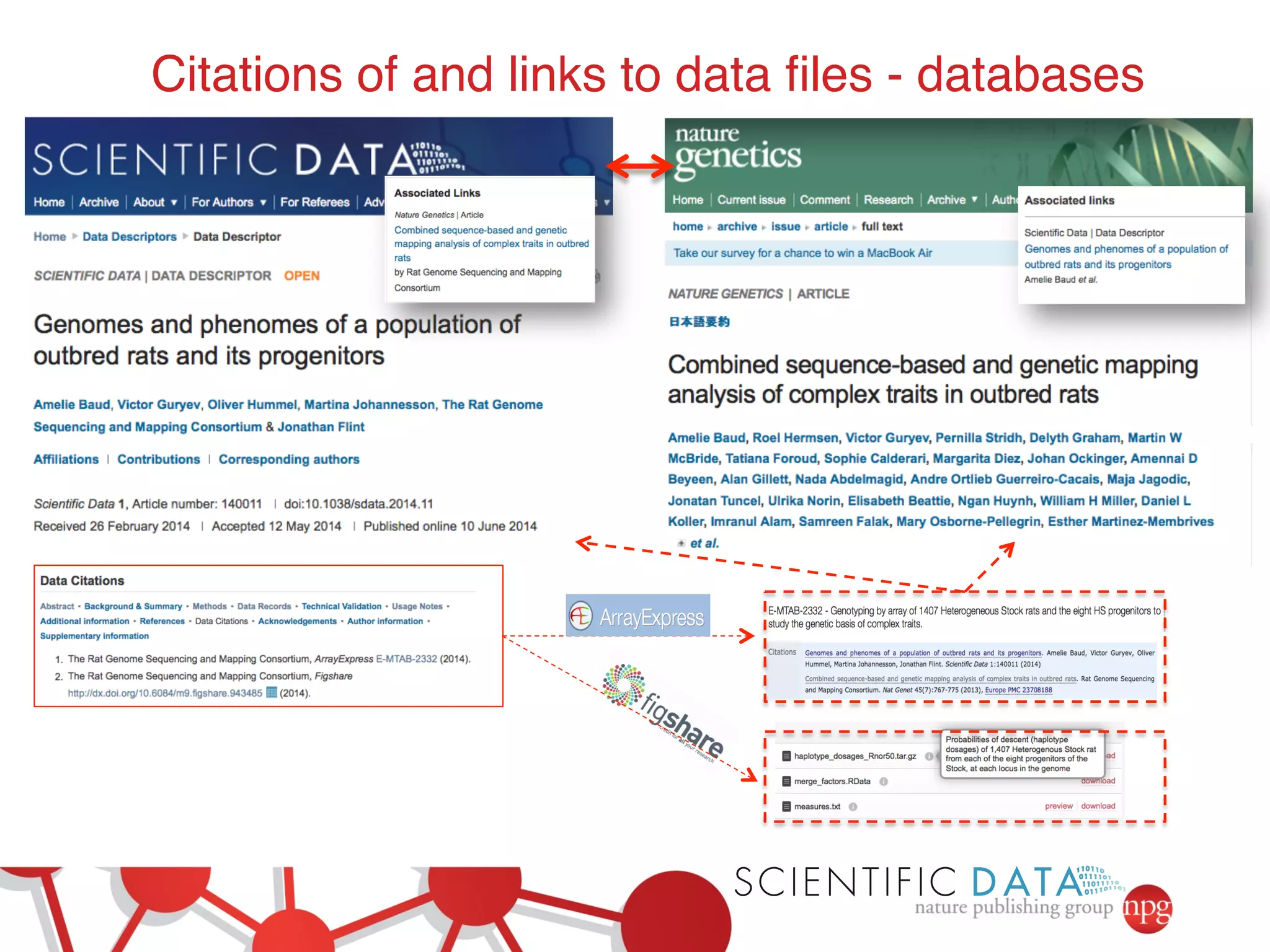 Citations of and links to data files - databases! 
 