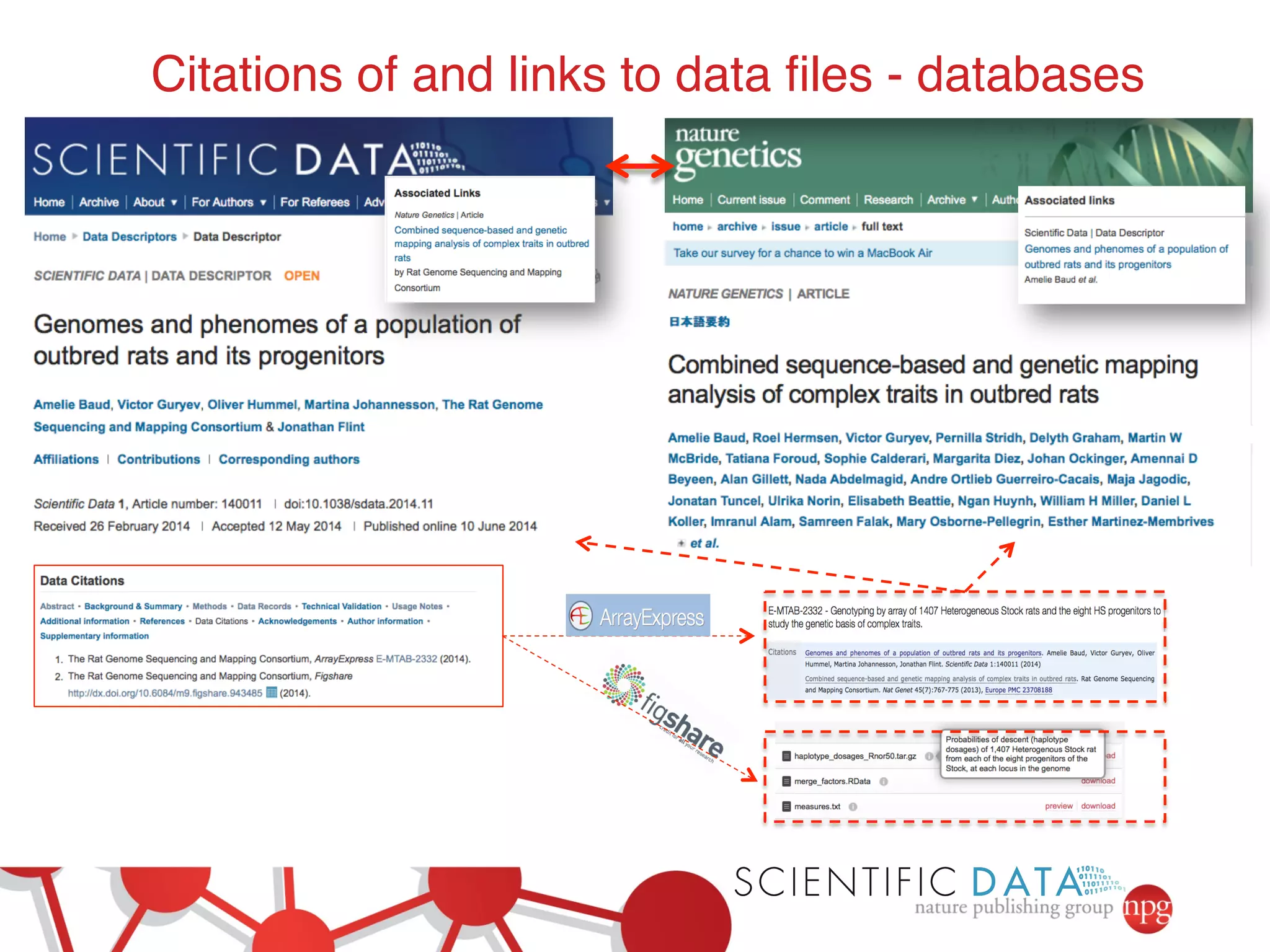 Citations of and links to data files - databases! 
 