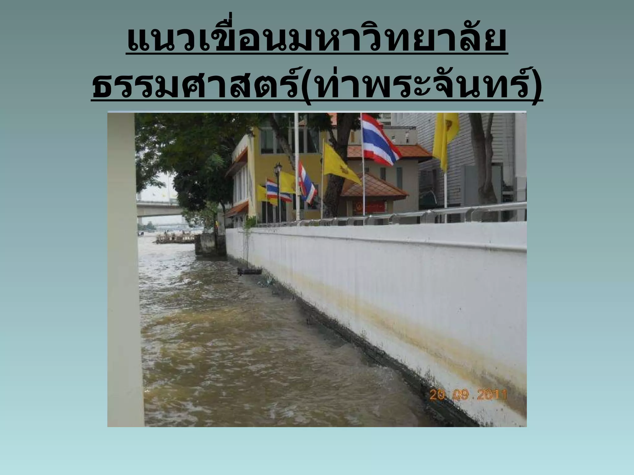 แนวเขื่อนมหาวิทยาลัยธรรมศาสตร์ ( ท่าพระจันทร์ ) 