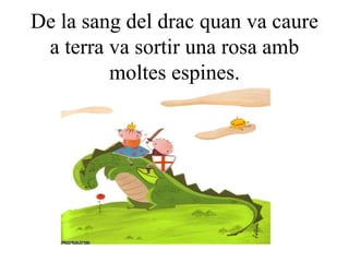 De la sang del drac quan va caure a terra va sortir una rosa amb moltes espines. 