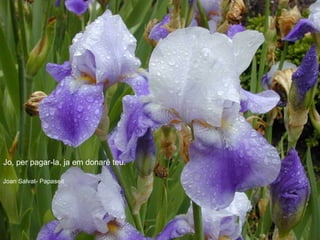 Jo, per pagar-la, ja em donaré teu. Joan Salvat- Papaseit 