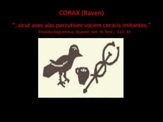 C ORAX  ( R av en) “ .. sicut aves alas percutiunt vocem coracis imitantes .”  Pseudo-Augustinus, Quaest. Vet. N. Test.,  113. 11 