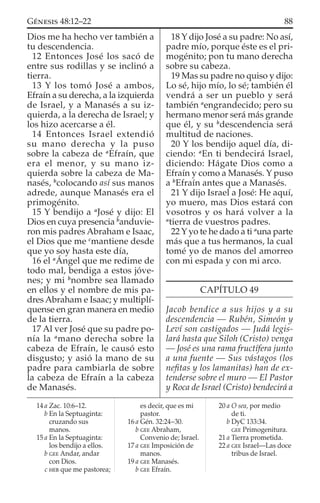 Dios me ha hecho ver también a
tu descendencia.
12 Entonces José los sacó de
entre sus rodillas y se inclinó a
tierra.
13 Y los tomó José a ambos,
Efraín a su derecha, a la izquierda
de Israel, y a Manasés a su iz-
quierda, a la derecha de Israel; y
los hizo acercarse a él.
14 Entonces Israel extendió
su mano derecha y la puso
sobre la cabeza de a
Efraín, que
era el menor, y su mano iz-
quierda sobre la cabeza de Ma-
nasés, b
colocando así sus manos
adrede, aunque Manasés era el
primogénito.
15 Y bendijo a a
José y dijo: El
Dios en cuya presencia b
anduvie-
ron mis padres Abraham e Isaac,
el Dios que me c
mantiene desde
que yo soy hasta este día,
16 el a
Ángel que me redime de
todo mal, bendiga a estos jóve-
nes; y mi b
nombre sea llamado
en ellos y el nombre de mis pa-
dres Abraham e Isaac; y multiplí-
quense en gran manera en medio
de la tierra.
17 Al ver José que su padre po-
nía la a
mano derecha sobre la
cabeza de Efraín, le causó esto
disgusto; y asió la mano de su
padre para cambiarla de sobre
la cabeza de Efraín a la cabeza
de Manasés.
18 Y dijo José a su padre: No así,
padre mío, porque éste es el pri-
mogénito; pon tu mano derecha
sobre su cabeza.
19 Mas su padre no quiso y dijo:
Lo sé, hijo mío, lo sé; también él
vendrá a ser un pueblo y será
también a
engrandecido; pero su
hermano menor será más grande
que él, y su b
descendencia será
multitud de naciones.
20 Y los bendijo aquel día, di-
ciendo: a
En ti bendecirá Israel,
diciendo: Hágate Dios como a
Efraín y como a Manasés. Y puso
a b
Efraín antes que a Manasés.
21 Y dijo Israel a José: He aquí,
yo muero, mas Dios estará con
vosotros y os hará volver a la
a
tierra de vuestros padres.
22 Y yo te he dado a ti a
una parte
más que a tus hermanos, la cual
tomé yo de manos del amorreo
con mi espada y con mi arco.
CAPÍTULO 49
Jacob bendice a sus hijos y a su
descendencia — Rubén, Simeón y
Leví son castigados — Judá legis-
lará hasta que Siloh (Cristo) venga
— José es una rama fructífera junto
a una fuente — Sus vástagos (los
neﬁtas y los lamanitas) han de ex-
tenderse sobre el muro — El Pastor
y Roca de Israel (Cristo) bendecirá a
14 a Zac. 10:6–12.
b En la Septuaginta:
cruzando sus
manos.
15 a En la Septuaginta:
los bendijo a ellos.
b GEE Andar, andar
con Dios.
c HEB que me pastorea;
es decir, que es mi
pastor.
16 a Gén. 32:24–30.
b GEE Abraham,
Convenio de; Israel.
17 a GEE Imposición de
manos.
19 a GEE Manasés.
b GEE Efraín.
20 a O sea, por medio
de ti.
b DyC 133:34.
GEE Primogenitura.
21 a Tierra prometida.
22 a GEE Israel—Las doce
tribus de Israel.
88GÉNESIS 48:12–22
 