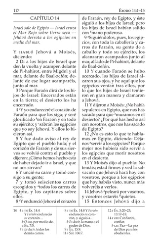 CAPÍTULO 14
Israel sale de Egipto — Israel cruza
el Mar Rojo sobre tierra seca —
Jehová derrota a los egipcios en
medio del mar.
Y HABLÓ Jehová a Moisés,
diciendo:
2 Di a los hijos de Israel que
den la vuelta y acampen delante
de Pi-hahirot, entre Migdol y el
mar, delante de Baal-zefón; de-
lante de ese lugar acamparéis,
junto al mar.
3 Porque Faraón dirá de los hi-
jos de Israel: Encerrados están
en la tierra; el desierto los ha
encerrado.
4 a
Y yo endureceré el corazón de
Faraón para que los siga; y seré
gloriﬁcado b
en Faraón y en todo
su ejército; y c
sabrán los egipcios
que yo soy Jehová. Y ellos lo hi-
cieron así.
5 Y fue dado aviso al rey de
Egipto que el pueblo huía; y el
corazón de Faraón y de sus sier-
vos se volvió contra el pueblo y
dijeron: ¿Cómo hemos hecho esto
de haber dejado ir a Israel, y que
no nos sirvan?
6 Y unció su carro y tomó con-
sigo a su gente;
7 y tomó seiscientos carros
escogidos y a
todos los carros de
Egipto, y los capitanes sobre
ellos.
8 a
Y endureció Jehová el corazón
de Faraón, rey de Egipto, y éste
siguió a los hijos de Israel; pero
los hijos de Israel habían salido
con b
mano poderosa.
9 a
Siguiéndolos, pues, los egip-
cios, con toda la caballería y ca-
rros de Faraón, su gente de a
caballo y todo su ejército, los
alcanzaron acampados junto al
mar, al lado de Pi-hahirot, delante
de Baal-zefón.
10 Y cuando Faraón se hubo
acercado, los hijos de Israel al-
zaron sus ojos, y he aquí que los
egipcios venían tras ellos, por
lo que los hijos de Israel temie-
ron en gran manera y clamaron
a Jehová.
11 Y dijeron a Moisés: ¿No había
sepulcros en Egipto, que nos has
sacado para que a
muramos en el
desierto? ¿Por qué has hecho así
con nosotros, que nos has sacado
de Egipto?
12 ¿No es esto lo que te habla-
mos en Egipto, diciendo: Déja-
nos a
servir a los egipcios? Porque
mejor nos hubiera sido servir a
los egipcios que morir nosotros
en el desierto.
13 Y Moisés dijo al pueblo: No
temáis; estad ﬁrmes y ved la sal-
vación que Jehová hará hoy con
vosotros, porque a los egipcios
que hoy habéis visto, nunca más
volveréis a verlos.
14 Jehová a
peleará por vosotros,
y vosotros estaréis b
quietos.
15 Entonces Jehová dijo a
14 4 a TJS Éx. 14:4
Y Faraón endureció
su corazón…
b O sea, por medio de.
c Éx. 7:5.
7 a Es decir, todos los
demás carros.
8 a TJS Éx. 14:8 Y Faraón
endureció su cora-
zón, y siguió a…
b Es decir, la mano o el
poder de Dios.
9 a Éx. 15:9.
11 a Sal. 106:7.
12 a Éx. 5:20–23;
13:17–18.
14 a GEE Conﬁanza,
conﬁar.
b GEE Paz—La paz
de Dios para los
obedientes.
117 ÉXODO 14:1–15
 