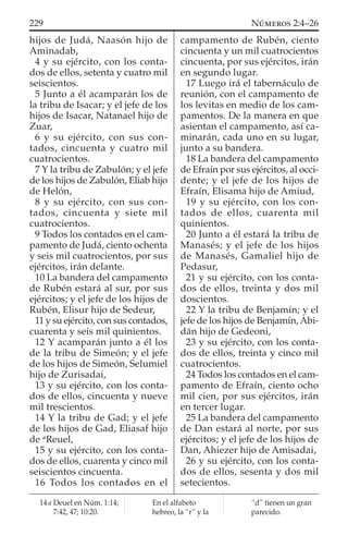 hijos de Judá, Naasón hijo de
Aminadab,
4 y su ejército, con los conta-
dos de ellos, setenta y cuatro mil
seiscientos.
5 Junto a él acamparán los de
la tribu de Isacar; y el jefe de los
hijos de Isacar, Natanael hijo de
Zuar,
6 y su ejército, con sus con-
tados, cincuenta y cuatro mil
cuatrocientos.
7 Y la tribu de Zabulón; y el jefe
de los hijos de Zabulón, Eliab hijo
de Helón,
8 y su ejército, con sus con-
tados, cincuenta y siete mil
cuatrocientos.
9 Todos los contados en el cam-
pamento de Judá, ciento ochenta
y seis mil cuatrocientos, por sus
ejércitos, irán delante.
10 La bandera del campamento
de Rubén estará al sur, por sus
ejércitos; y el jefe de los hijos de
Rubén, Elisur hijo de Sedeur,
11 y su ejército, con sus contados,
cuarenta y seis mil quinientos.
12 Y acamparán junto a él los
de la tribu de Simeón; y el jefe
de los hijos de Simeón, Selumiel
hijo de Zurisadai,
13 y su ejército, con los conta-
dos de ellos, cincuenta y nueve
mil trescientos.
14 Y la tribu de Gad; y el jefe
de los hijos de Gad, Eliasaf hijo
de a
Reuel,
15 y su ejército, con los conta-
dos de ellos, cuarenta y cinco mil
seiscientos cincuenta.
16 Todos los contados en el
campamento de Rubén, ciento
cincuenta y un mil cuatrocientos
cincuenta, por sus ejércitos, irán
en segundo lugar.
17 Luego irá el tabernáculo de
reunión, con el campamento de
los levitas en medio de los cam-
pamentos. De la manera en que
asientan el campamento, así ca-
minarán, cada uno en su lugar,
junto a su bandera.
18 La bandera del campamento
de Efraín por sus ejércitos, al occi-
dente; y el jefe de los hijos de
Efraín, Elisama hijo de Amiud,
19 y su ejército, con los con-
tados de ellos, cuarenta mil
quinientos.
20 Junto a él estará la tribu de
Manasés; y el jefe de los hijos
de Manasés, Gamaliel hijo de
Pedasur,
21 y su ejército, con los conta-
dos de ellos, treinta y dos mil
doscientos.
22 Y la tribu de Benjamín; y el
jefe de los hijos de Benjamín, Abi-
dán hijo de Gedeoni,
23 y su ejército, con los conta-
dos de ellos, treinta y cinco mil
cuatrocientos.
24 Todos los contados en el cam-
pamento de Efraín, ciento ocho
mil cien, por sus ejércitos, irán
en tercer lugar.
25 La bandera del campamento
de Dan estará al norte, por sus
ejércitos; y el jefe de los hijos de
Dan, Ahiezer hijo de Amisadai,
26 y su ejército, con los conta-
dos de ellos, sesenta y dos mil
setecientos.
14 a Deuel en Núm. 1:14;
7:42, 47; 10:20.
En el alfabeto
hebreo, la “r” y la
“d” tienen un gran
parecido.
229 NÚMEROS 2:4–26
 