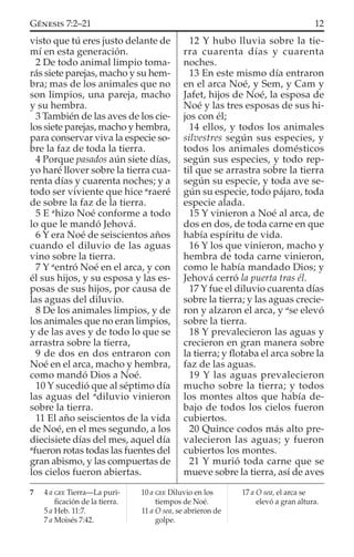visto que tú eres justo delante de
mí en esta generación.
2 De todo animal limpio toma-
rás siete parejas, macho y su hem-
bra; mas de los animales que no
son limpios, una pareja, macho
y su hembra.
3 También de las aves de los cie-
los siete parejas, macho y hembra,
para conservar viva la especie so-
bre la faz de toda la tierra.
4 Porque pasados aún siete días,
yo haré llover sobre la tierra cua-
renta días y cuarenta noches; y a
todo ser viviente que hice a
raeré
de sobre la faz de la tierra.
5 E a
hizo Noé conforme a todo
lo que le mandó Jehová.
6 Y era Noé de seiscientos años
cuando el diluvio de las aguas
vino sobre la tierra.
7 Y a
entró Noé en el arca, y con
él sus hijos, y su esposa y las es-
posas de sus hijos, por causa de
las aguas del diluvio.
8 De los animales limpios, y de
los animales que no eran limpios,
y de las aves y de todo lo que se
arrastra sobre la tierra,
9 de dos en dos entraron con
Noé en el arca, macho y hembra,
como mandó Dios a Noé.
10 Y sucedió que al séptimo día
las aguas del a
diluvio vinieron
sobre la tierra.
11 El año seiscientos de la vida
de Noé, en el mes segundo, a los
diecisiete días del mes, aquel día
a
fueron rotas todas las fuentes del
gran abismo, y las compuertas de
los cielos fueron abiertas.
12 Y hubo lluvia sobre la tie-
rra cuarenta días y cuarenta
noches.
13 En este mismo día entraron
en el arca Noé, y Sem, y Cam y
Jafet, hijos de Noé, la esposa de
Noé y las tres esposas de sus hi-
jos con él;
14 ellos, y todos los animales
silvestres según sus especies, y
todos los animales domésticos
según sus especies, y todo rep-
til que se arrastra sobre la tierra
según su especie, y toda ave se-
gún su especie, todo pájaro, toda
especie alada.
15 Y vinieron a Noé al arca, de
dos en dos, de toda carne en que
había espíritu de vida.
16 Y los que vinieron, macho y
hembra de toda carne vinieron,
como le había mandado Dios; y
Jehová cerró la puerta tras él.
17 Y fue el diluvio cuarenta días
sobre la tierra; y las aguas crecie-
ron y alzaron el arca, y a
se elevó
sobre la tierra.
18 Y prevalecieron las aguas y
crecieron en gran manera sobre
la tierra; y ﬂotaba el arca sobre la
faz de las aguas.
19 Y las aguas prevalecieron
mucho sobre la tierra; y todos
los montes altos que había de-
bajo de todos los cielos fueron
cubiertos.
20 Quince codos más alto pre-
valecieron las aguas; y fueron
cubiertos los montes.
21 Y murió toda carne que se
mueve sobre la tierra, así de aves
7 4 a GEE Tierra—La puri-
ﬁcación de la tierra.
5 a Heb. 11:7.
7 a Moisés 7:42.
10 a GEE Diluvio en los
tiempos de Noé.
11 a O sea, se abrieron de
golpe.
17 a O sea, el arca se
elevó a gran altura.
12GÉNESIS 7:2–21
 