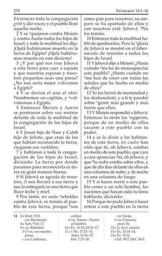 ENTONCES toda la congregación
gritó y dio voces; y el pueblo lloró
aquella noche.
2 Y se a
quejaron contra Moisés
y contra Aarón todos los hijos de
Israel; y toda la multitud les dijo:
¡Ojalá hubiéramos muerto en la
tierra de Egipto! ¡Ojalá hubiéra-
mos muerto en este desierto!
3 ¿Y por qué nos trae Jehová
a esta tierra para caer a espada
y que nuestras esposas y nues-
tros pequeños sean una presa?
¿No nos sería mejor volvernos
a Egipto?
4 Y se decían el uno al otro:
Nombremos un capitán, y a
vol-
vámonos a Egipto.
5 Entonces Moisés y Aarón
se postraron sobre sus rostros
delante de toda la multitud de
la congregación de los hijos de
Israel.
6 Y Josué hijo de Nun y Caleb
hijo de Jefone, que eran de los
que habían reconocido la tierra,
rasgaron sus vestidos;
7 y hablaron a toda la congre-
gación de los hijos de Israel,
diciendo: La tierra por donde
pasamos para reconocerla es tie-
rra en gran manera buena.
8 Si Jehová se agrada de noso-
tros, él nos llevará a esa tierra y
nos la entregará; es una tierra que
ﬂuye leche y miel.
9 Por tanto, no seáis a
rebeldes
contra Jehová, ni temáis al pue-
blo de esta tierra, porque b
son
como pan para nosotros; su am-
paro se ha apartado de ellos y
con nosotros está c
Jehová. d
No
los temáis.
10 Entonces toda la multitud ha-
bló de apedrearlos. Pero la a
gloria
de Jehová se mostró en el taber-
náculo de reunión a todos los
hijos de Israel.
11YJehová dijo a Moisés: ¿Hasta
cuándo a
me ha de menospreciar
este pueblo? ¿Hasta cuándo no
b
me han de creer con todas las
señales que he hecho en medio
de ellos?
12 Yo los heriré de mortandad y
los desheredaré, y a ti te pondré
sobre a
gente más grande y más
fuerte que ellos.
13 Y Moisés respondió a Jehová:
Entonces lo oirán los a
egipcios,
porque de en medio de ellos
sacaste a este pueblo con tu
poder,
14 y se lo dirán a los habitan-
tes de esta tierra, los cuales han
oído que tú, oh Jehová, estabas
en medio de este pueblo, que cara
a cara aparecías a
tú, oh Jehová, y
que b
tu nube estaba sobre ellos, y
que de día ibas delante de ellos en
una columna de nube, y de noche
en una columna de fuego.
15 Y si haces morir a este pue-
blo como a un solo hombre, las
naciones que hayan oído tu fama
hablarán, diciendo:
16 Porque no pudo Jehová hacer
entrar a este pueblo en la tierra
14 2 a Deut. 9:23.
GEE Murmurar.
4 a Neh. 9:16–17.
9 a GEE Rebelión.
b O sea, son nuestra
presa.
c GEE Conﬁanza,
conﬁar.
d GEE Temor—Temor
al hombre.
10 a Éx. 16:10; 24:16–17.
11 a 1 Ne. 17:23–31;
Alma 12:36–37;
Hel. 7:15–20.
GEE Enojo.
b GEE Creencia,
creer; Fe.
12 a Es decir, nación.
13 a Éx. 32:10–14.
14 a Éx. 33:11.
b Sal. 99:7; DyC 84:5.
255 NÚMEROS 14:1–16
 
