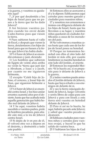 a la guerra, y vosotros os queda-
réis aquí?
7 ¿Y por qué desalentáis a los
hijos de Israel para que no pa-
sen a la tierra que les ha dado
Jehová?
8 Así hicieron vuestros pa-
dres cuando los envié desde
Cades-barnea para que viesen
la tierra.
9 Pues subieron hasta el valle
de Escol, y después que vieron la
tierra, desalentaron a los hijos de
Israel para que no fuesen a la tie-
rra que Jehová les había dado.
10 Y el furor de Jehová se encen-
dió entonces y juró, diciendo:
11 Los hombres que subieron
de Egipto de veinte años arriba
no verán la a
tierra que juré dar
a Abraham, a Isaac y a Jacob,
por cuanto no me siguieron
ﬁelmente,
12 excepto a
Caleb hijo de Je-
fone, el cenezeo, y Josué hijo de
Nun, que siguieron ﬁelmente a
Jehová.
13 Y el furor de Jehová se encen-
dió contra Israel, y los hizo andar
errantes cuarenta años por el de-
sierto, hasta que fue acabada toda
aquella generación que había he-
cho mal delante de Jehová.
14 Y he aquí, vosotros habéis
sucedido a vuestros padres, prole
de hombres pecadores, para aña-
dir aún más a la ira de Jehová
contra Israel.
15 Si dejáis de ir en pos de él,
él volverá otra vez a dejaros en
el desierto, y destruiréis a todo
este pueblo.
16 Entonces ellos se acercaron a
él y le dijeron: Ediﬁcaremos aquí
corrales para nuestro ganado y
ciudades para nuestros niños;
17 y nosotros nos armaremos e
iremos con diligencia delante de
los hijos de Israel, hasta que los
llevemos a su lugar; y nuestros
niños quedarán en ciudades for-
tiﬁcadas a causa de los morado-
res del país.
18 No volveremos a nuestras ca-
sas hasta que cada uno de los hi-
jos de Israel posea su heredad.
19 Porque no tomaremos he-
redad con ellos al otro lado del
Jordán ni más allá, por cuanto
tendremos ya nuestra heredad en
este lado del Jordán, al oriente.
20 Entonces les respondió Moi-
sés: a
Si lo hacéis así, si os prepa-
ráis para ir delante de Jehová a
la guerra,
21 y todos vosotros pasáis arma-
dos el Jordán delante de Jehová,
hasta que haya echado a sus ene-
migos de delante de sí,
22 y sea la tierra sojuzgada de-
lante de Jehová, luego volveréis
y seréis libres de culpa para con
Jehová y para con Israel; y esta
tierra será vuestra en heredad
delante de Jehová.
23 Pero si así no lo hacéis, he
aquí, habréis pecado ante Jehová;
y sabed que vuestro pecado os
alcanzará.
24 Ediﬁcaos ciudades para vues-
tros niños y corrales para vues-
tras ovejas, y haced lo que ha
salido de vuestra boca.
25 Y hablaron los hijos de Gad
11 a Núm. 14:23.
GEE Tierra
prometida.
12 a GEE Caleb.
20 a Josué 1:13–18.
293 NÚMEROS 32:7–25
 