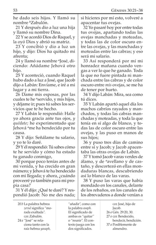 he dado seis hijos. Y llamó su
nombre b
Zabulón.
21 Y después dio a luz una hija
y llamó su nombre Dina.
22 Y se acordó Dios de Raquel, y
la oyó Dios y abrió su matriz.
23 Y concibió y dio a luz un
hijo, y dijo: Dios ha quitado mi
afrenta;
24 y llamó su nombre a
José, di-
ciendo: Añádame Jehová otro
hijo.
25 Y aconteció, cuando Raquel
hubo dado a luz a José, que Jacob
dijo a Labán: Envíame, e iré a mi
lugar y a mi tierra.
26 Dame mis esposas, por las
cuales te he a
servido, y mis hijos,
y déjame ir; pues tú sabes los ser-
vicios que te he hecho.
27 Y Labán le respondió: Halle
yo ahora gracia ante tus ojos, y
quédate; he experimentado que
Jehová a
me ha bendecido por tu
causa.
28 Y dijo: Señálame tu salario,
y yo te lo daré.
29 Y él respondió: Tú sabes cómo
te he servido y cómo ha estado
tu ganado conmigo,
30 porque poco tenías antes de
mi venida, y ha crecido en gran
número; y Jehová te ha bendecido
con mi llegada; y ahora, ¿cuándo
proveeré yo también para mi pro-
pia casa?
31 Y él dijo: ¿Qué te daré? Y res-
pondió Jacob: No me des nada;
si hicieres por mí esto, volveré a
apacentar tus ovejas.
32 Yo pasaré hoy por entre todas
tus ovejas, apartando todas las
ovejas manchadas y moteadas,
y todas las de color oscuro en-
tre las ovejas, y las manchadas y
moteadas entre las cabras; y eso
será mi salario.
33 Así responderá por mí mi
honradez mañana cuando ven-
gas a ver lo que he ganado. Toda
la que no fuere pintada ni man-
chada entre las cabras y de color
oscuro entre mis ovejas, se me ha
de tener por hurto.
34 Y dijo Labán: Mira, sea como
tú dices.
35 Y Labán apartó aquel día los
machos cabríos rayados y man-
chados, y todas las cabras man-
chadas y moteadas, y toda la que
tenía en sí algo de blanco, y to-
das las de color oscuro entre las
ovejas, y las puso en manos de
sus hijos;
36 y puso tres días de camino
entre sí y Jacob; y Jacob apacen-
taba las otras ovejas de Labán.
37 Y tomó Jacob varas verdes de
álamo, y de a
avellano y de cas-
taño, y descortezó en ellas mon-
daduras blancas, descubriendo
así lo blanco de las varas.
38 Y puso las varas que había
mondado en los canales, delante
de los rebaños, en los canales de
los abrevaderos a donde venían a
20 b La palabra hebrea
zevul signiﬁca “mo-
rada exaltada”.
GEE Zabulón.
24 a “José” se rela-
ciona tanto con la
raíz hebrea yasaph,
“añadir”, como con
la palabra asaph.
El signiﬁcado de
ambas es “quitar”
o “reunir”. El con-
texto juega con los
dos signiﬁcados.
GEE José, hijo de
Jacob.
26 a Gén. 29:20, 30.
27 a GEE Bendecido,
bendecir, bendición.
37 a Posiblemente de
almendro.
53 GÉNESIS 30:21–38
 