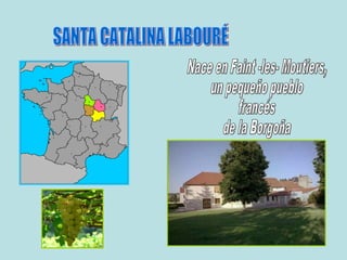 Santa Catalina Infantil