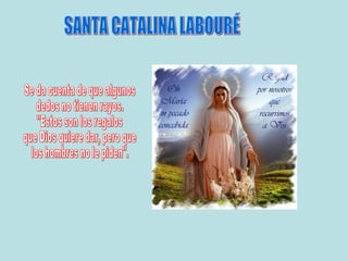 Santa Catalina Infantil