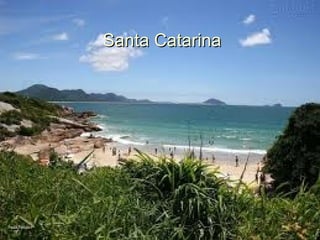 Santa Catarina
 